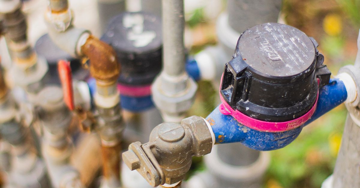 The Environmental Impact of Water Efficiency Audits on Local Businesses