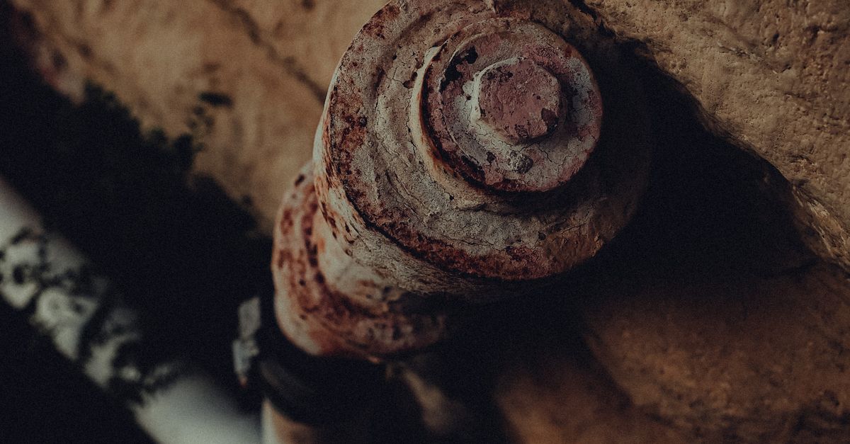 The Role of Technology in Plumbing Maintenance for Commercial Properties